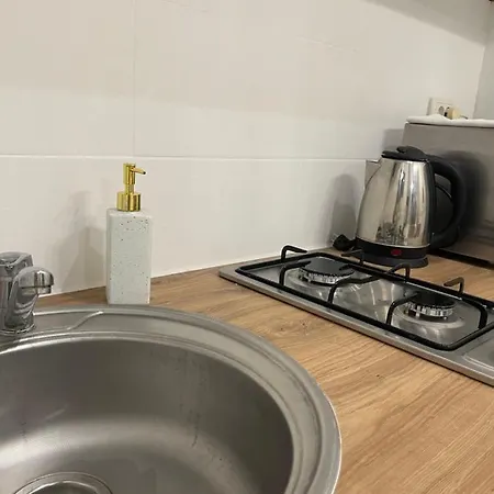 Vintage Kotlyarska10 Apartman Lviv