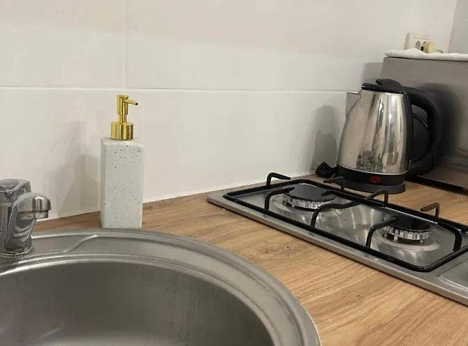 Vintage Kotlyarska10 דירה לבוב